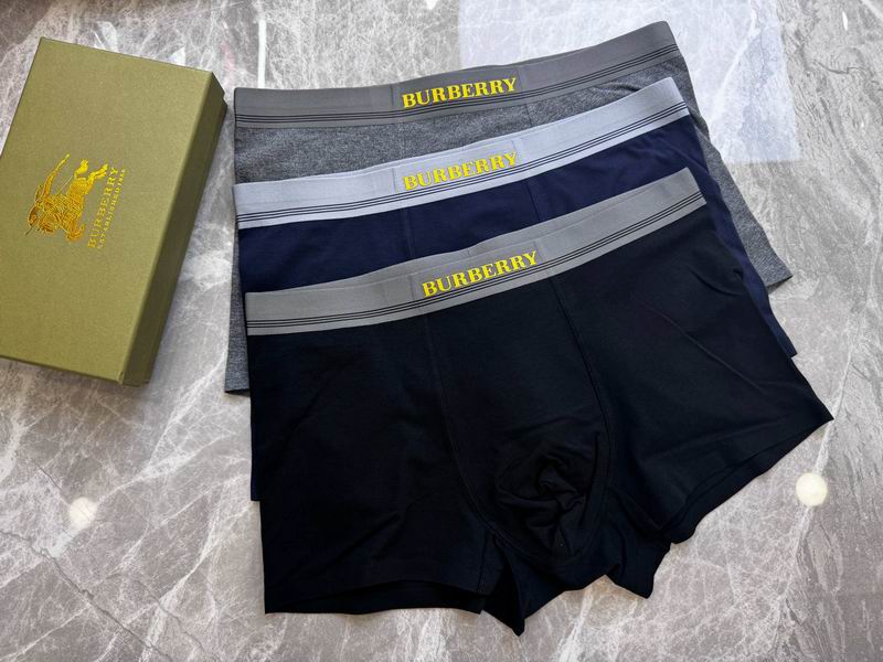 Burberry boxer L-4XL 11